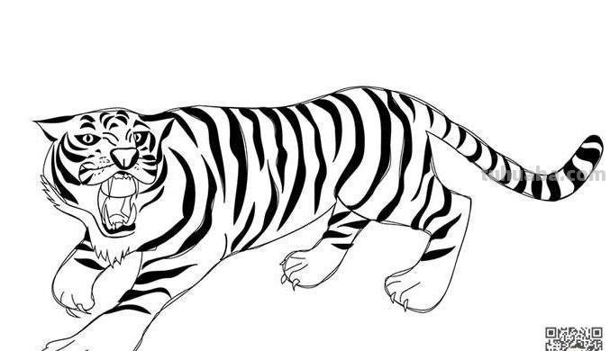老虎怎么画简笔画步骤 一步一步学画虎？
