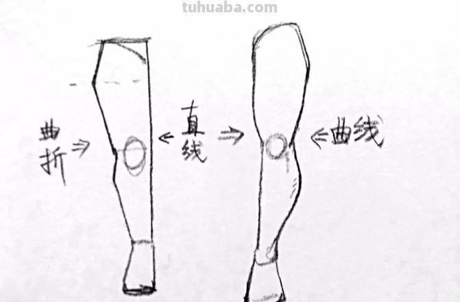 腿部速写画技巧 如何用铅笔画腿部？