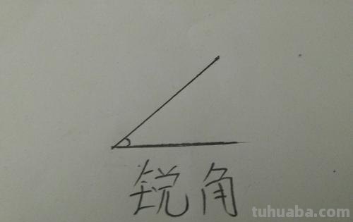 所有的锐角都相等对吗 所有的锐角都相等对吗?