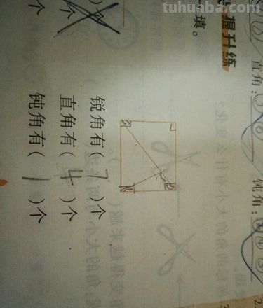 所有的锐角都相等对吗 所有的锐角都相等对吗?