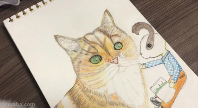 彩铅小猫怎么画的 彩色铅笔画可爱的小猫咪的教程详细步骤？