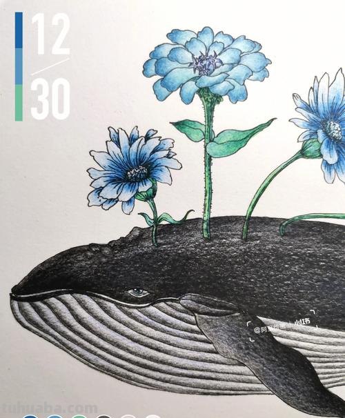 鲸鱼怎么画 梦幻 彩铅 如何画海洋动物？