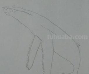 鲸鱼怎么画 梦幻 彩铅 如何画海洋动物？