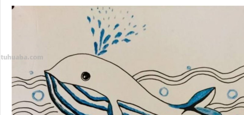 鲸鱼怎么画 梦幻 彩铅 如何画海洋动物？
