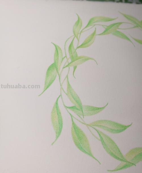 垂柳怎么画用彩铅 怎么使用彩铅画树？