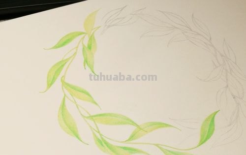 垂柳怎么画用彩铅 怎么使用彩铅画树？