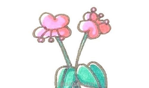 风铃怎么画用彩铅 玫瑰风铃怎么绘画？