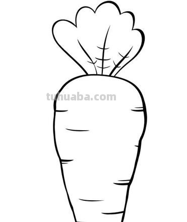 简笔画怎么画步骤如下 怎么画简笔画啊？