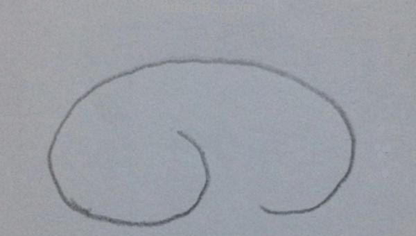 可爱猪头怎么画简笔画 画猪头简单笔画？