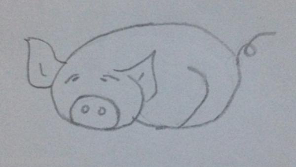 可爱猪头怎么画简笔画 画猪头简单笔画？