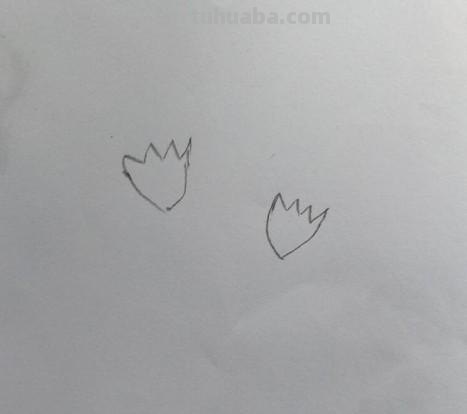 彩铅花怎么画康乃馨 花卉康乃馨画法教程（画康乃馨的方法、步骤）？