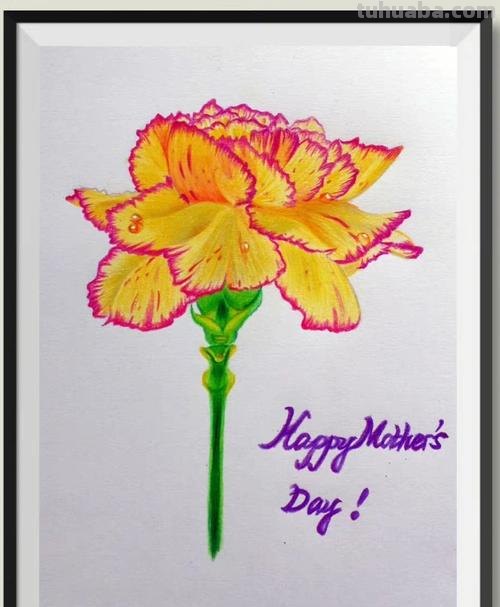 彩铅花怎么画康乃馨 花卉康乃馨画法教程（画康乃馨的方法、步骤）？