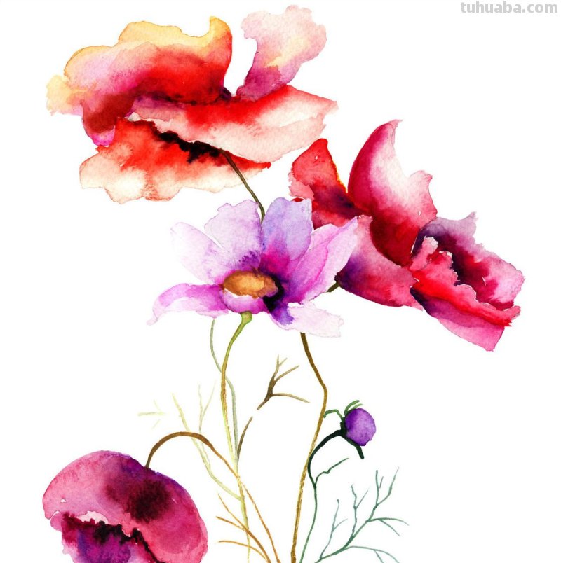 有了这份水彩工具清单，让你的绘画之梦从此不再留遗憾