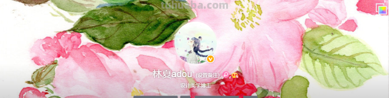 听说你想画水彩？这份省钱又好用的入门级工具推荐请收好！