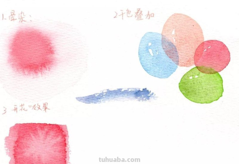 听说你想画水彩？这份省钱又好用的入门级工具推荐请收好！