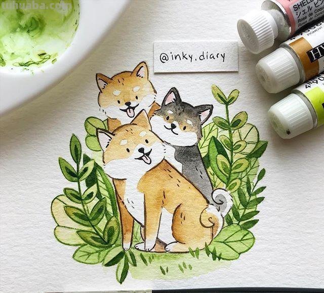 听说你想画水彩？这份省钱又好用的入门级工具推荐请收好！