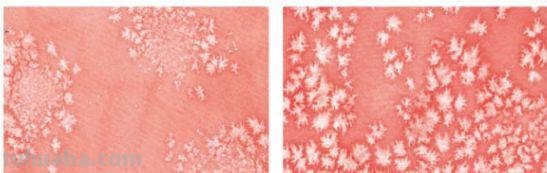 画水彩有哪些不为人知的神器？