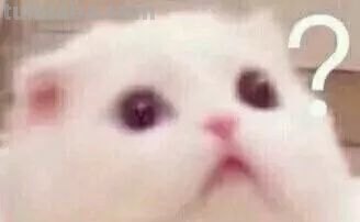 画水彩有哪些不为人知的神器？