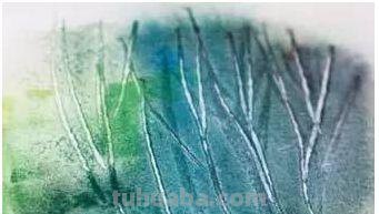 画水彩有哪些不为人知的神器？