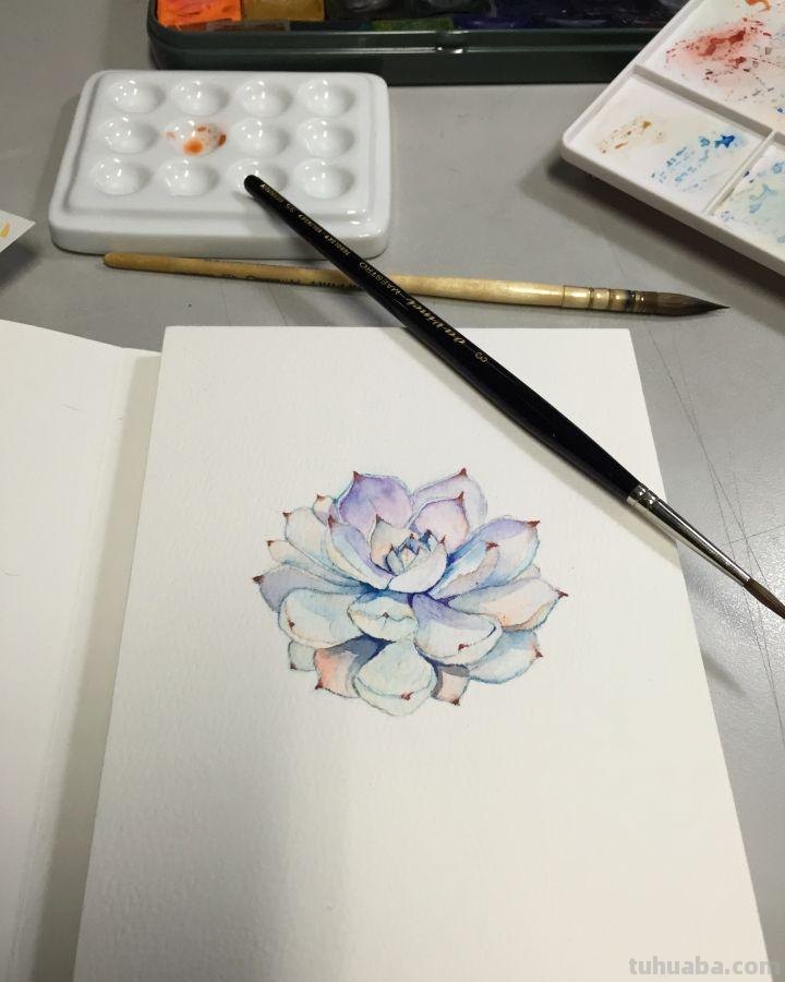 初入坑水彩画工具推荐