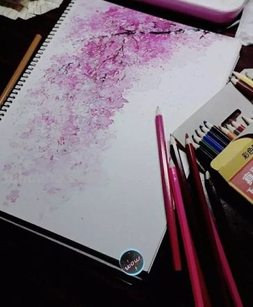 樱花怎么画彩铅视频 怎样画樱花?