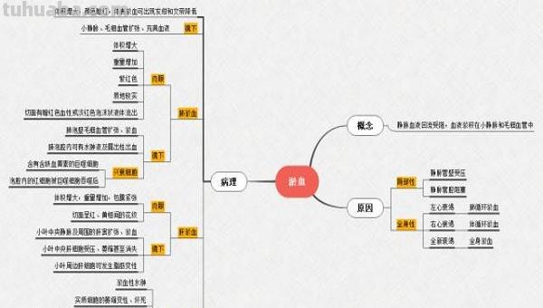 怎么推广思维导图软件 思维导图的推行运用有哪些需要改进的地方? 怎么推广思维导图软件 思维导图的推行运用有哪些需要改进的地方?