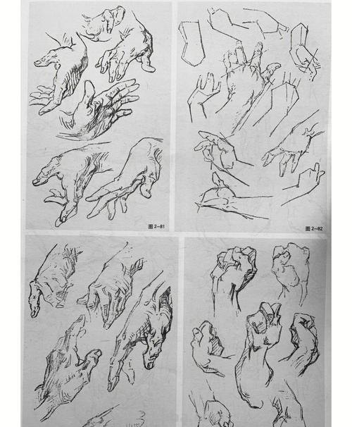 速写手构想 速写手的基本画法？