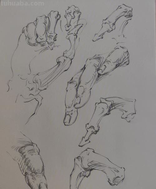 速写手构想 速写手的基本画法?