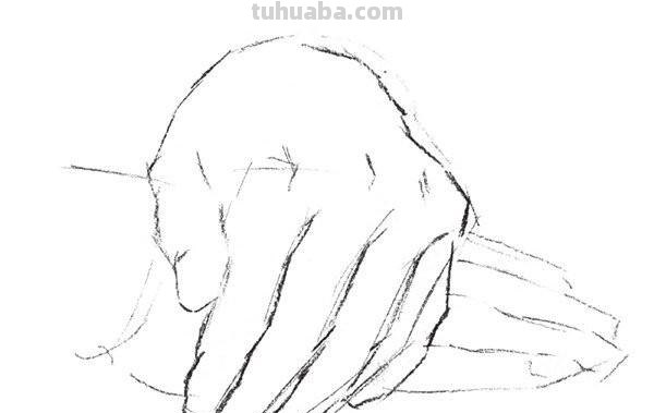 速写手构想 速写手的基本画法? 速写手构想 速写手的基本画法?