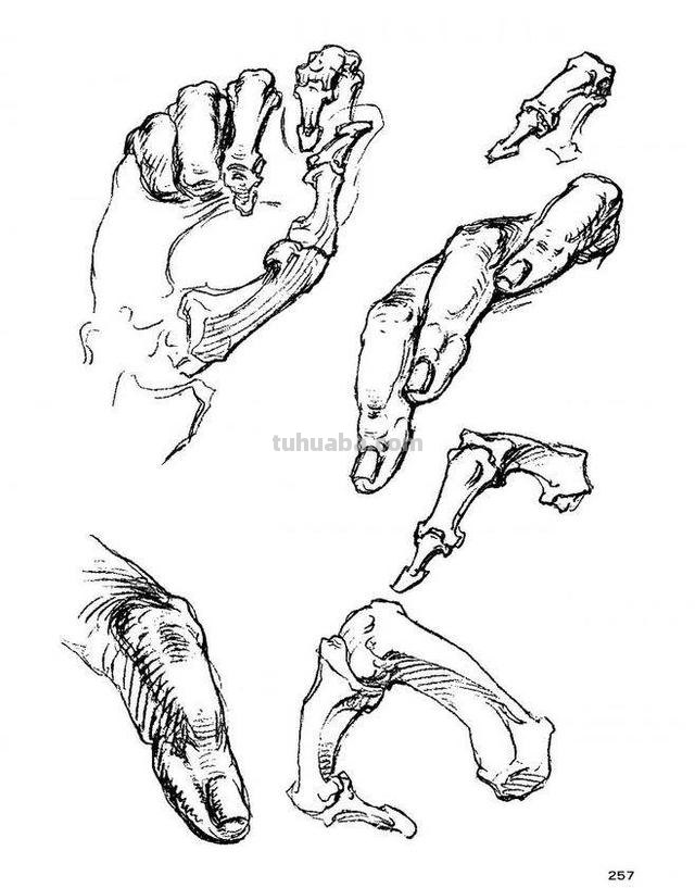 速写手构想 速写手的基本画法? 速写手构想 速写手的基本画法?