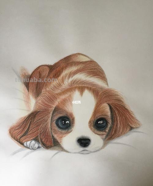 怎么画小狗不用彩铅 小狗的画法卡通小狗怎样画?
