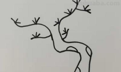 宝宝入门简笔画画什么 1-3岁幼儿绘画入门动物? 宝宝入门简笔画画什么 1-3岁幼儿绘画入门动物?