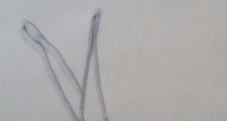 宝宝入门简笔画画什么 1-3岁幼儿绘画入门动物? 宝宝入门简笔画画什么 1-3岁幼儿绘画入门动物?