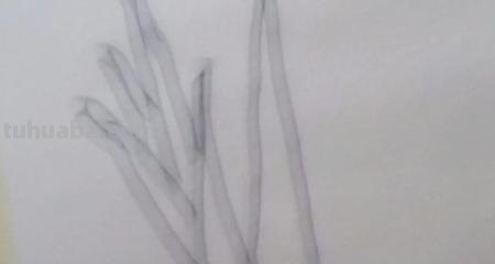 宝宝入门简笔画画什么 1-3岁幼儿绘画入门动物? 宝宝入门简笔画画什么 1-3岁幼儿绘画入门动物?