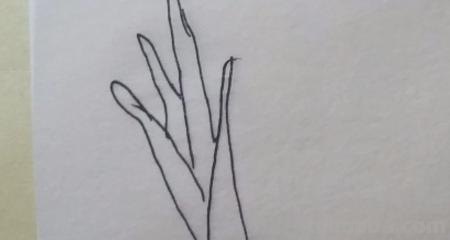 宝宝入门简笔画画什么 1-3岁幼儿绘画入门动物? 宝宝入门简笔画画什么 1-3岁幼儿绘画入门动物?