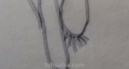 宝宝入门简笔画画什么 1-3岁幼儿绘画入门动物? 宝宝入门简笔画画什么 1-3岁幼儿绘画入门动物?