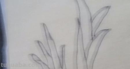 宝宝入门简笔画画什么 1-3岁幼儿绘画入门动物? 宝宝入门简笔画画什么 1-3岁幼儿绘画入门动物?