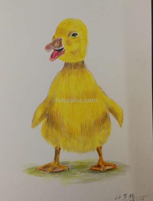 小黄鸭怎么画彩铅 单色系彩铅漫画简单?