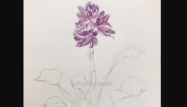 怎么用彩铅画桃花 怎么用彩铅画樱花树? 怎么用彩铅画桃花 怎么用彩铅画樱花树?