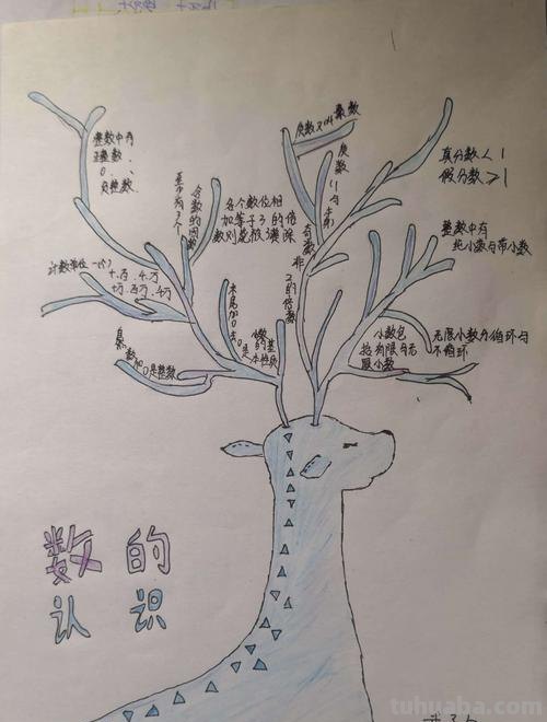 怎么画思维导图 漂亮 思维导图怎么画好看?