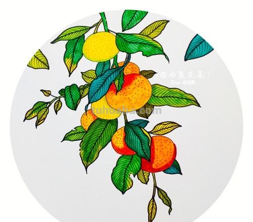 创意儿童画教程|桌上的橘子
