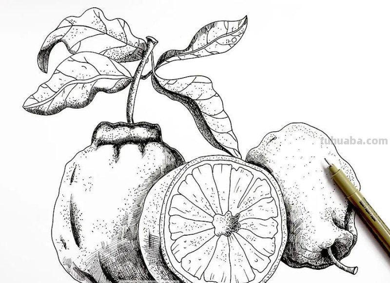 创意儿童画教程｜桌上的橘子