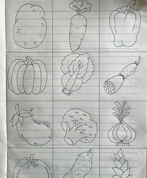 蔬菜简笔画图解