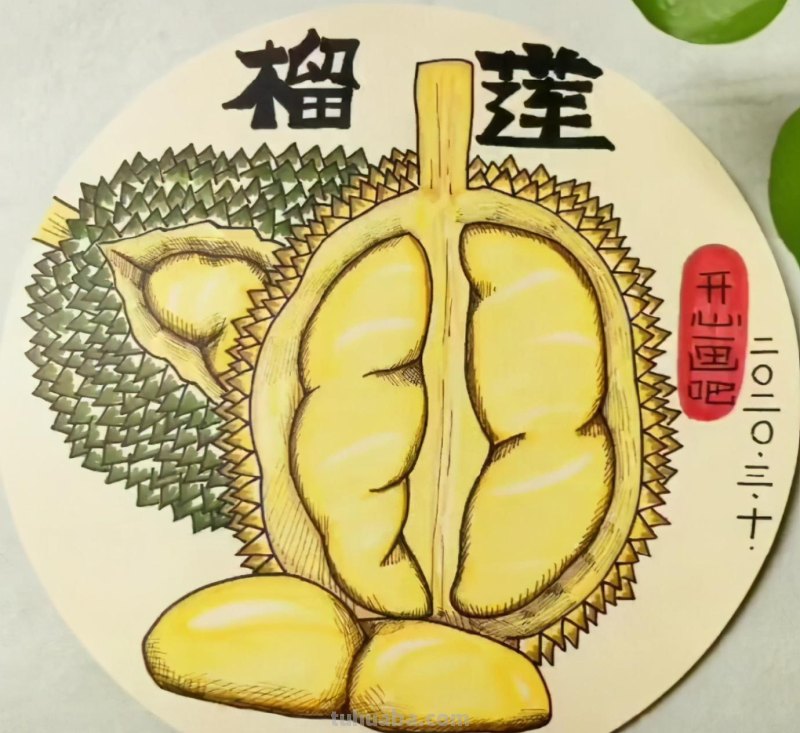 马克笔手绘 瓜果蔬菜植物花卉作品