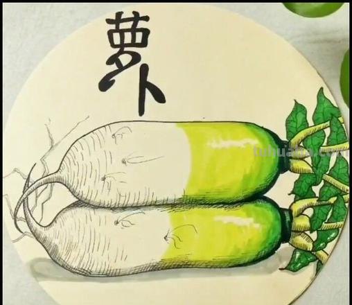 马克笔手绘 瓜果蔬菜植物花卉作品