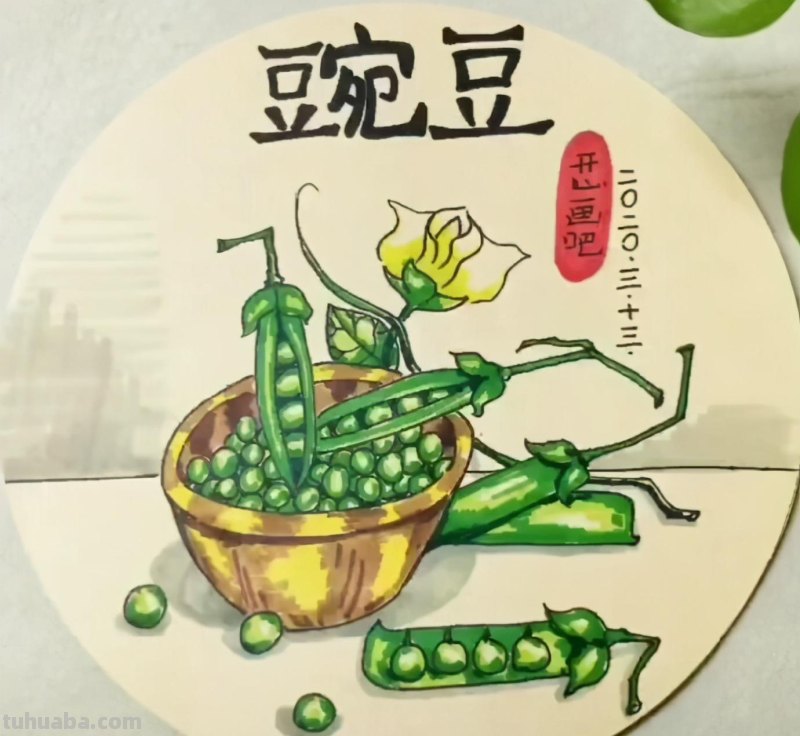马克笔手绘 瓜果蔬菜植物花卉作品