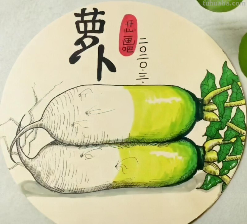 马克笔手绘 瓜果蔬菜植物花卉作品