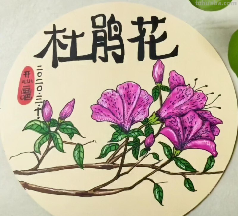 马克笔手绘 瓜果蔬菜植物花卉作品