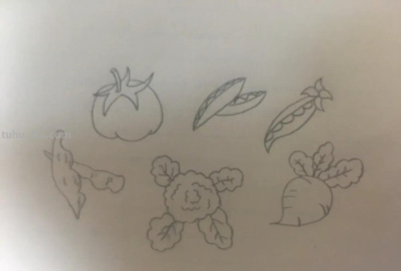 极简蔬果简笔画