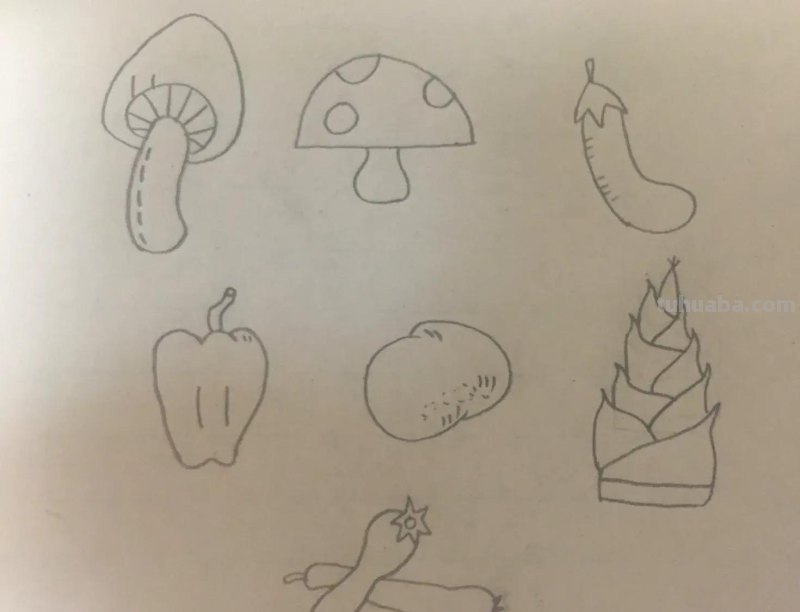 极简蔬果简笔画